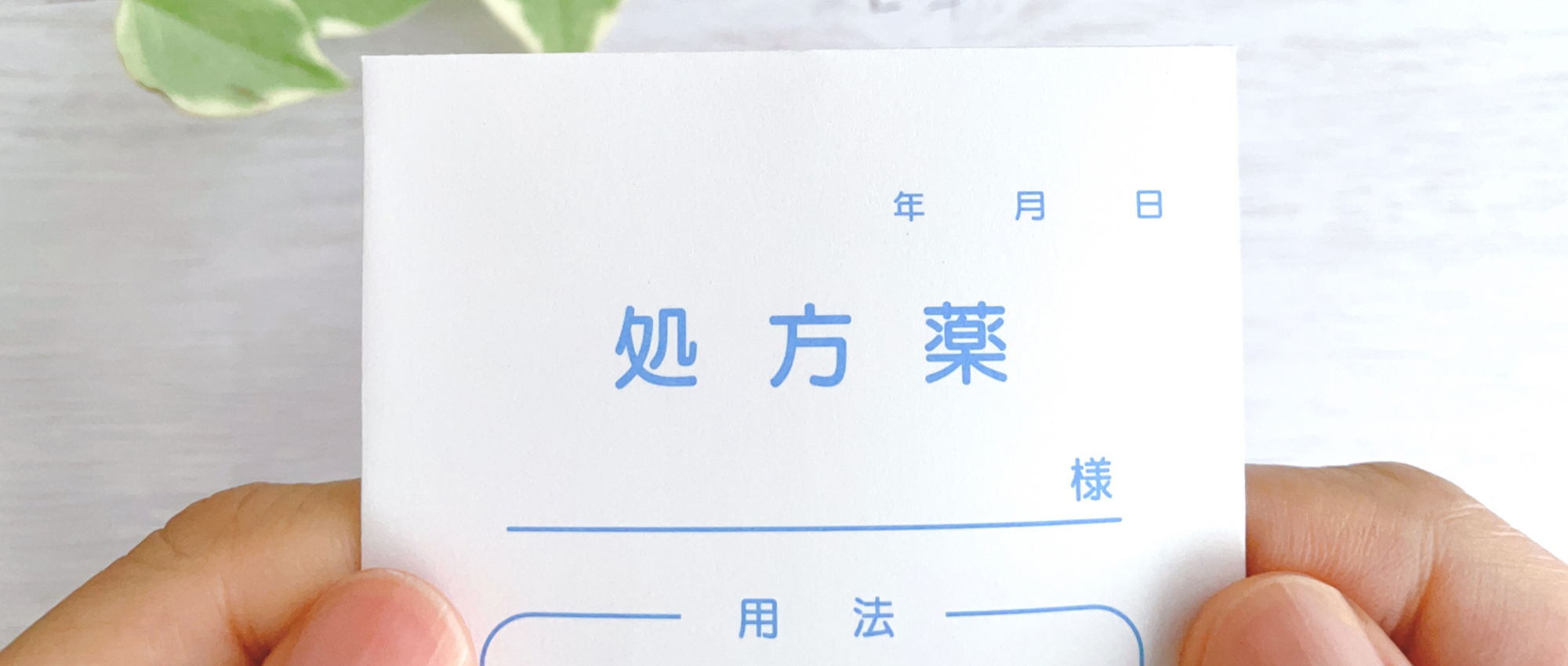 深谷市東方町 籠原駅 調剤薬局